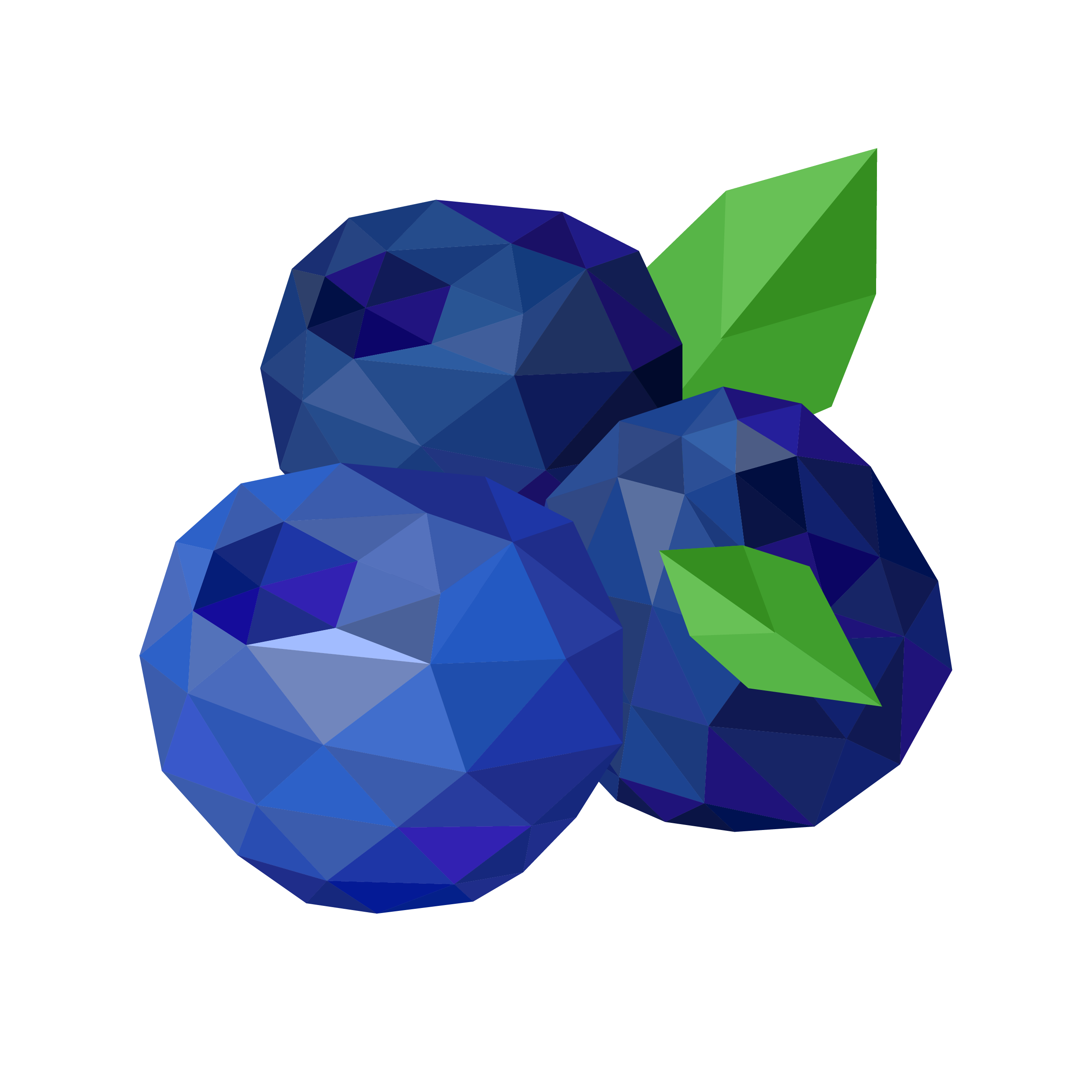 Blueberry