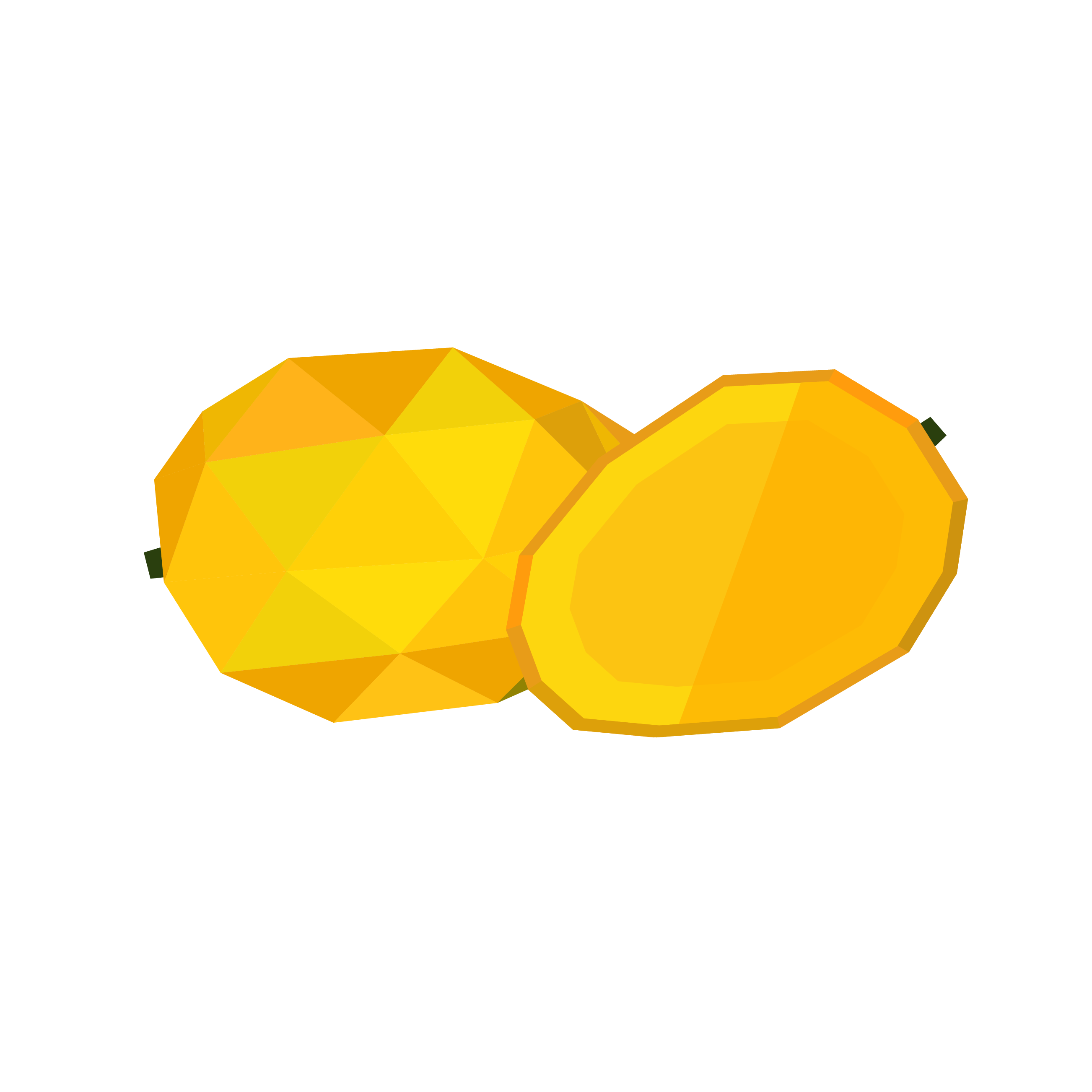 Alphonso Mango