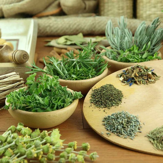 Immune Boosting