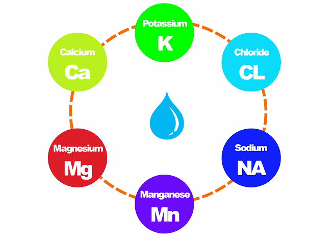 Essential Electrolytes