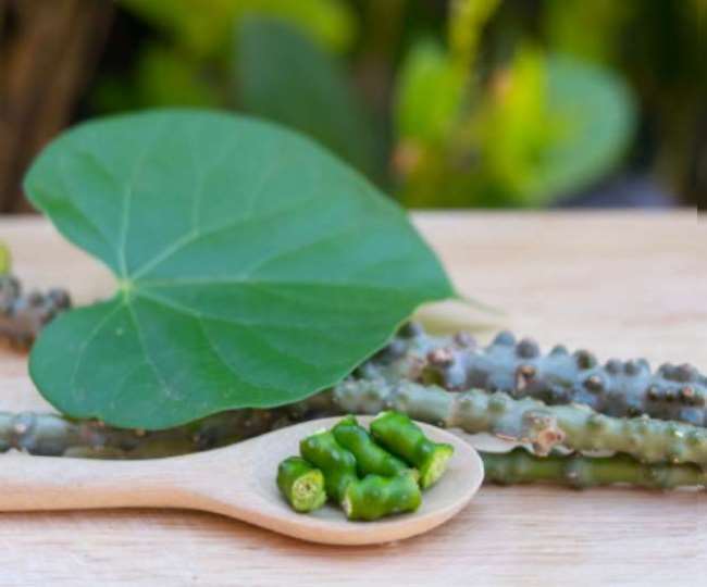 Herb Ayurveda