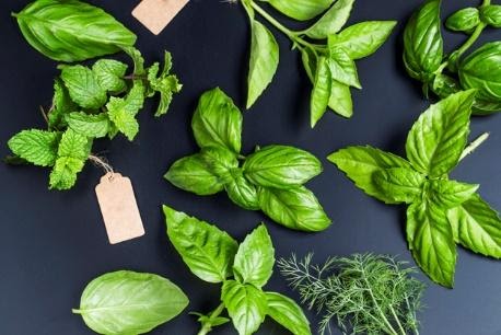 Herbs