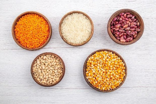 Rich Foods for Vegan