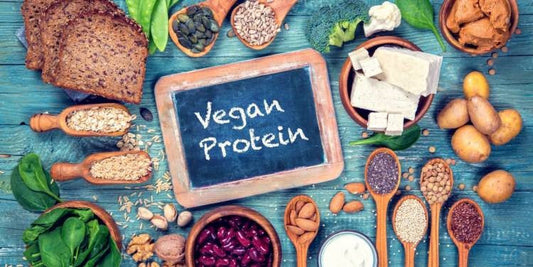 Vegan Protein