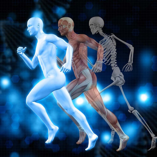 Vitamin D3 in Bone and Muscle Health