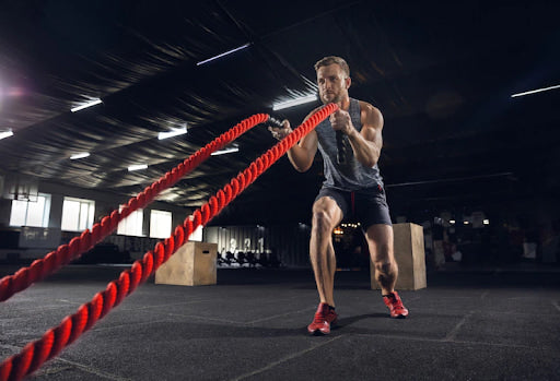 BCAA vs Creatine: Making the Right Choice