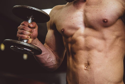 Carnitine to Gain Muscle