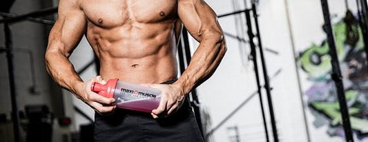 Does BCAAs Really Help For Bodybuilding