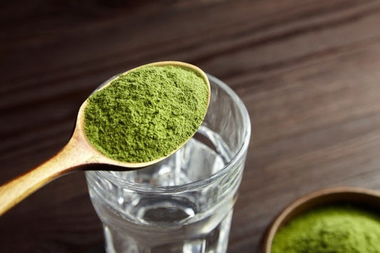 Top Health Benefits of Wheatgrass