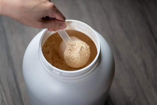 Whey Protein is the Best for Building Muscles