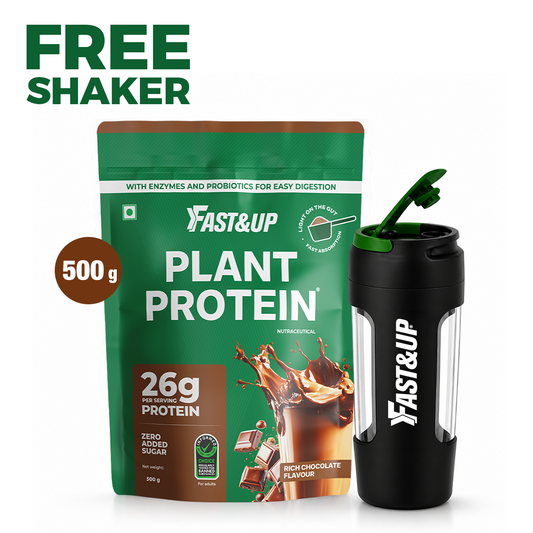 Plant Protein - Rich Chocolate – 500gms