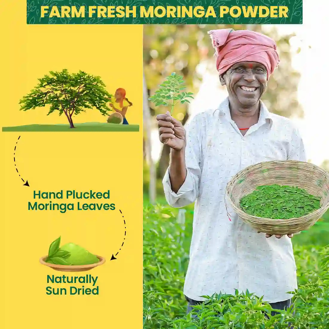 100% Pure & Natural Moringa Powder