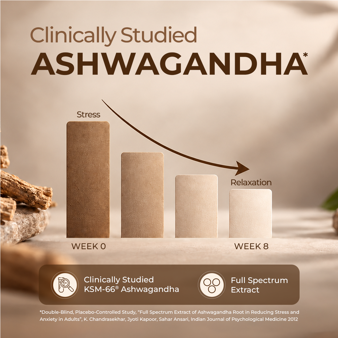 Fast&Up Man Ashwagandha