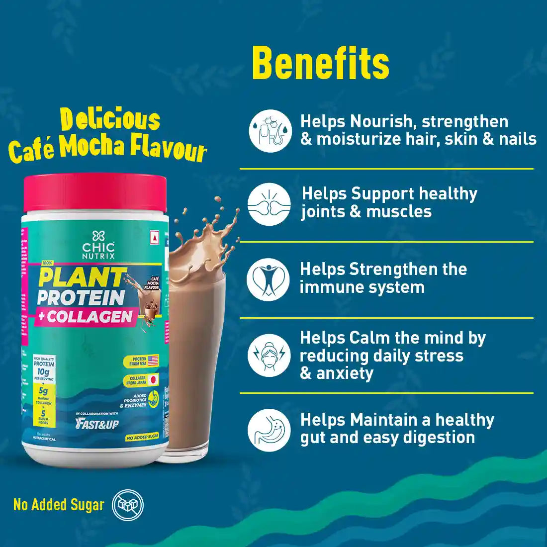 Fast&Up Plant Protein with Collagen - 10gm Plant Protein + 5gm Japanese Marine Collagen + Superherbs