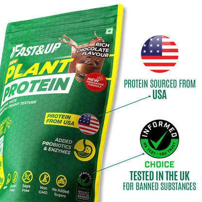 Plant Protein - Rich Chocolate - Pack of 1