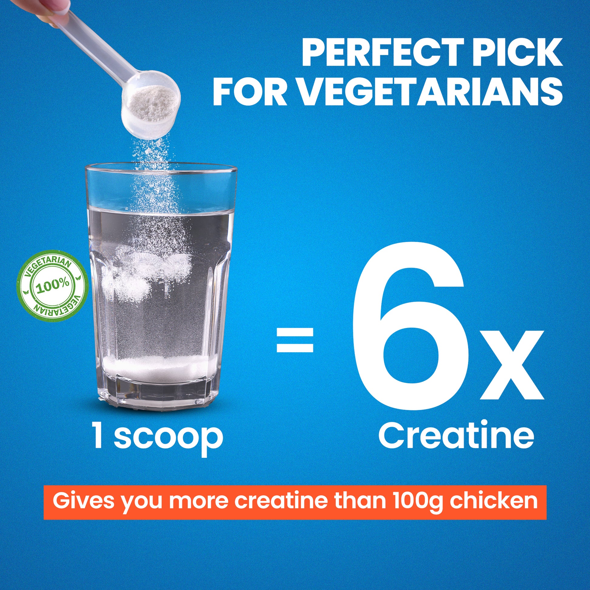 Perfect Pick for Vegetarians 